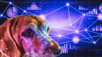 Creative Storytelling for Researchers: Making Data Memorable (and Useful)