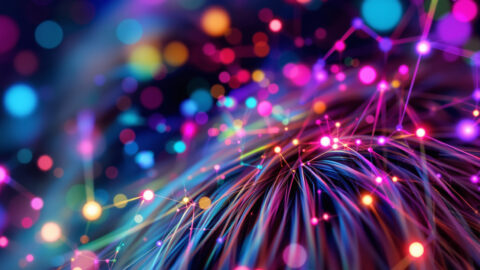 New to Evolve? Start Here.